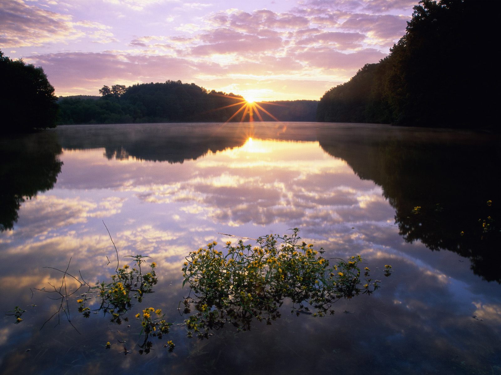 Nature Pic  2181