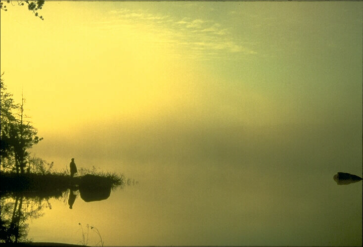 Nature Pic  219