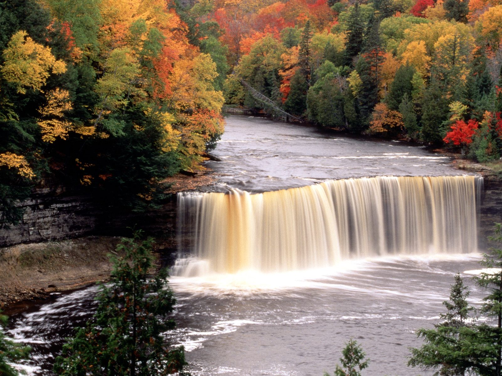 Nature Pic  2199