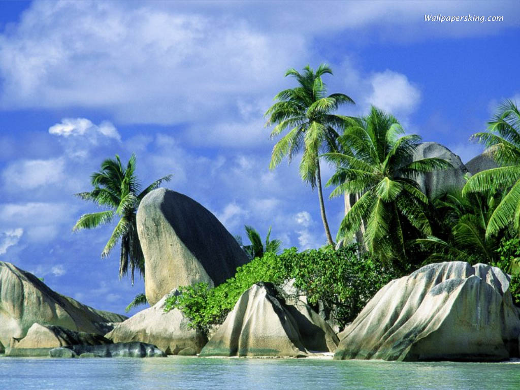Nature Pic  22