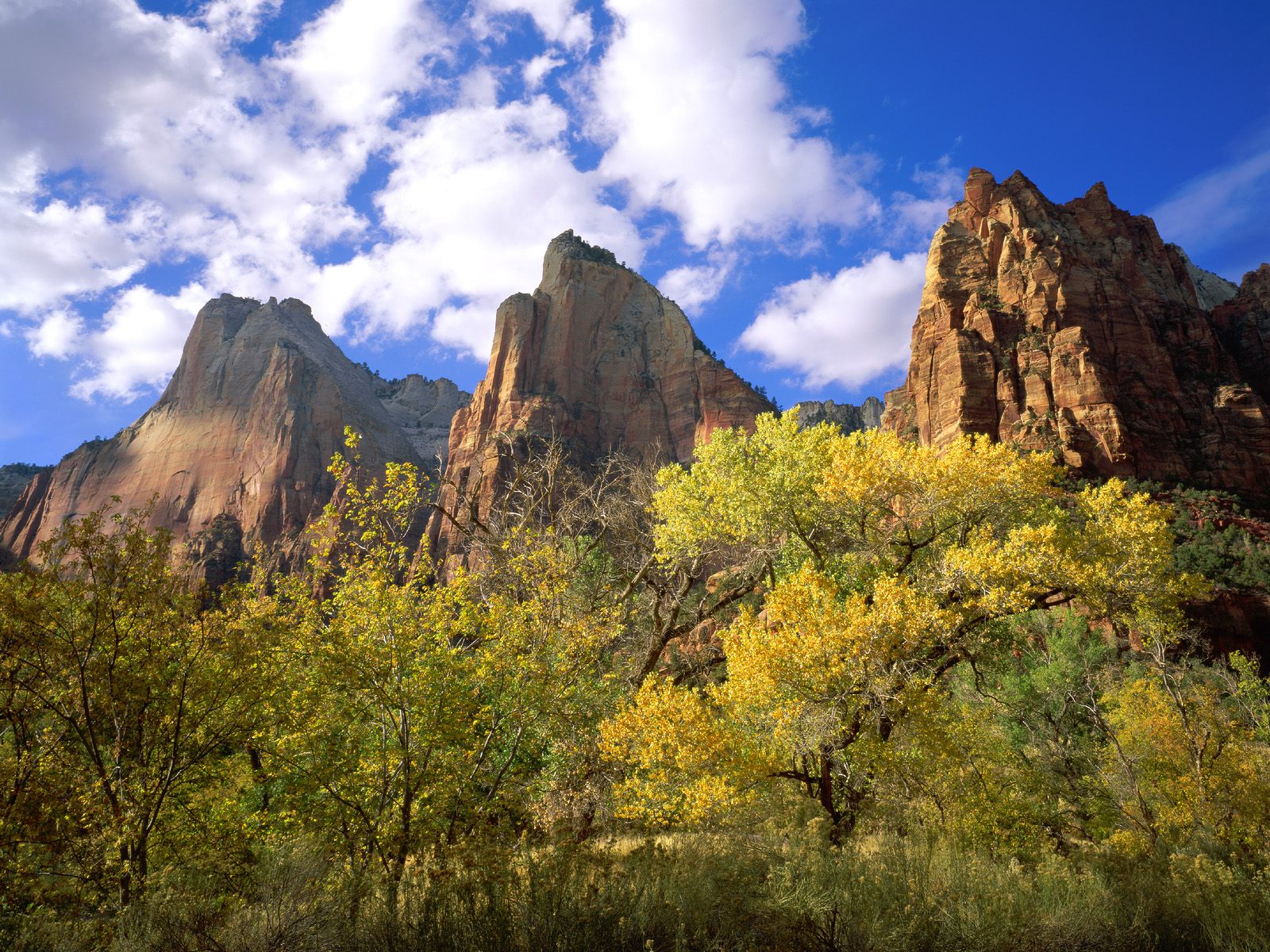 Nature Pic  2209