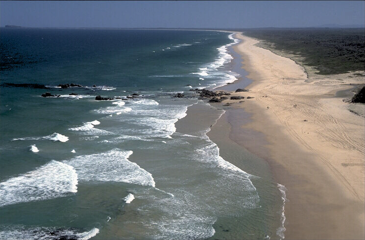 Nature Pic  221
