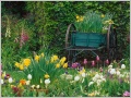 Nature Pic  2226