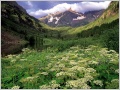Nature Pic  2232
