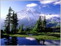 Nature Pic  2237