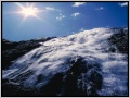 Nature Pic  2251