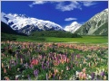 Nature Pic  2258