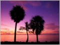 Nature Pic  2264