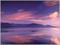 Nature Pic  2276