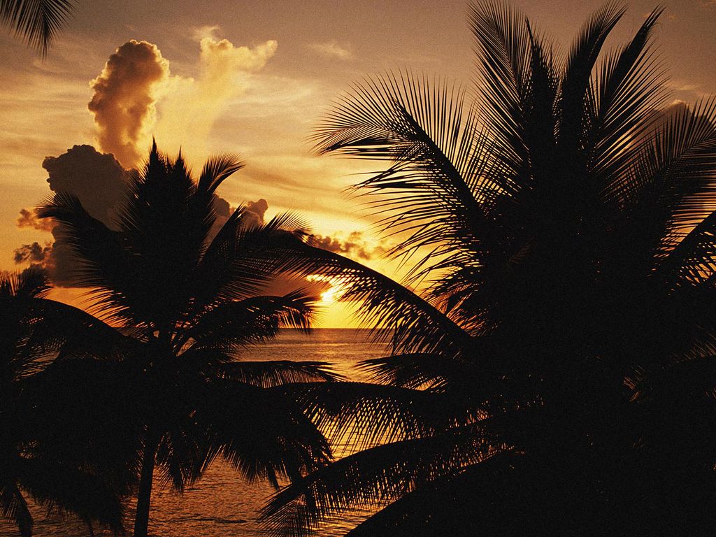 Nature Pic  2290