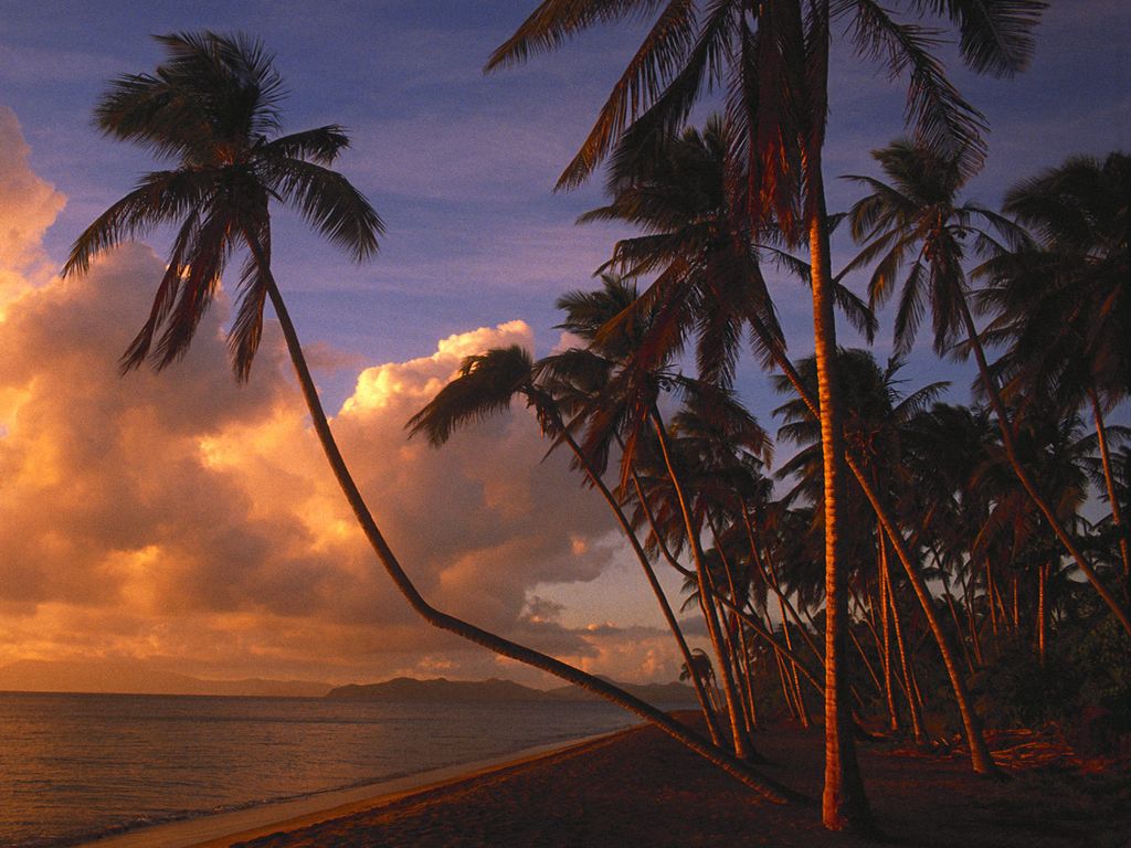 Nature Pic  2294