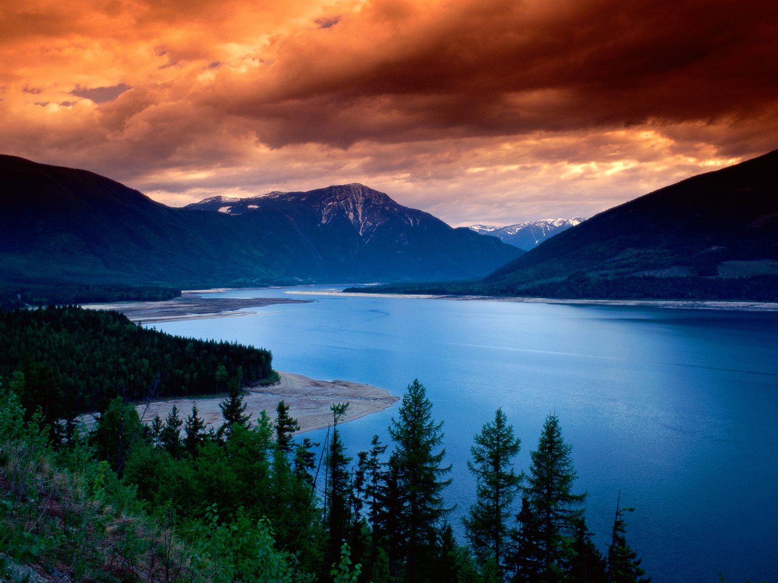 Nature Pic  2318