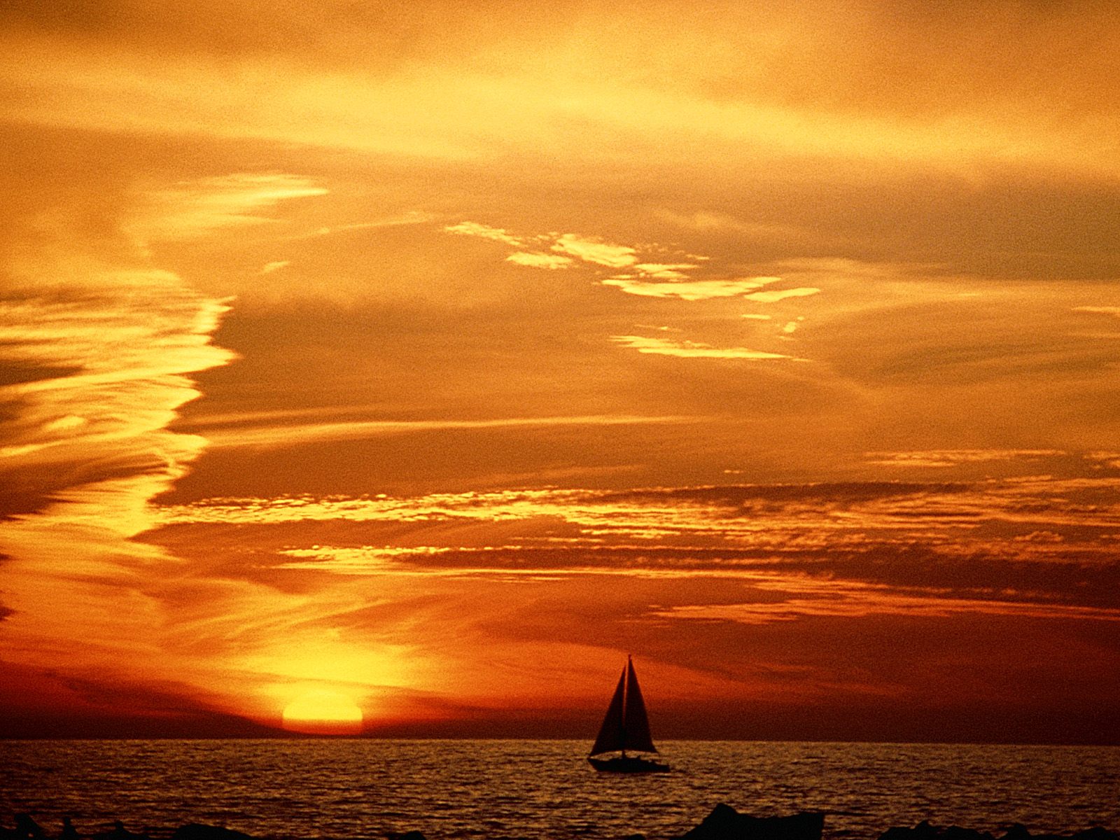 Nature Pic  2328