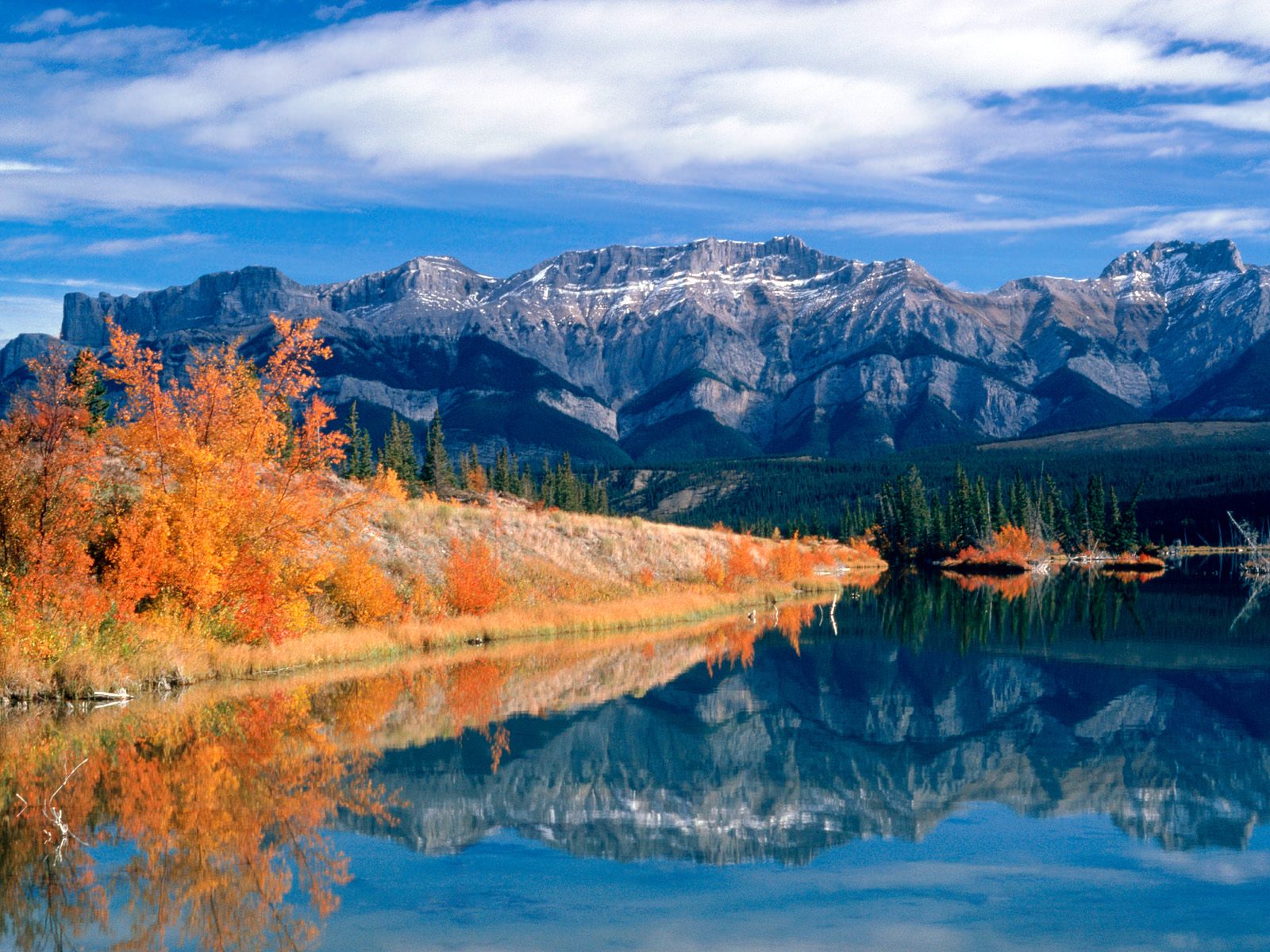 Nature Pic  2336