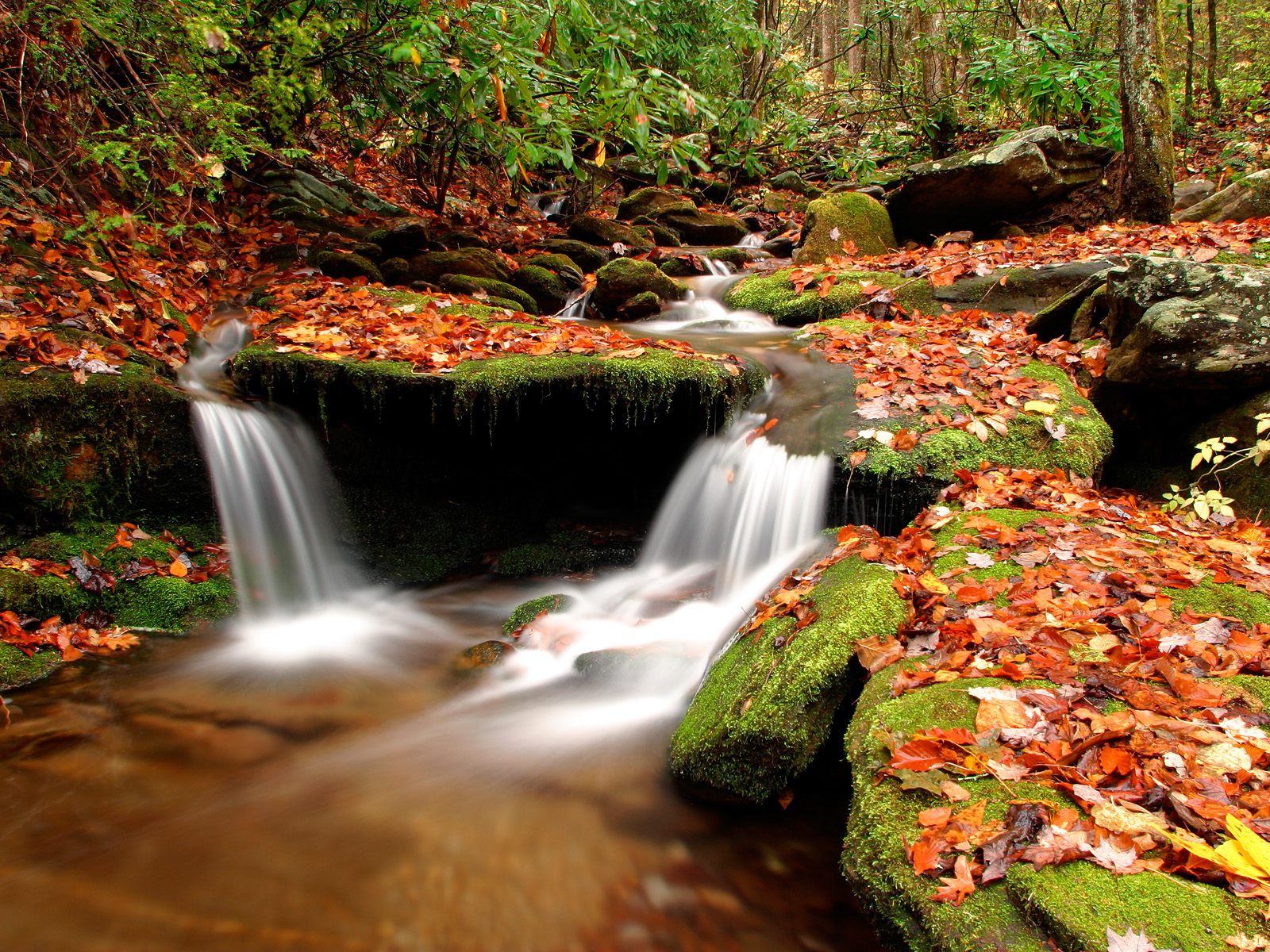 Nature Pic  2340
