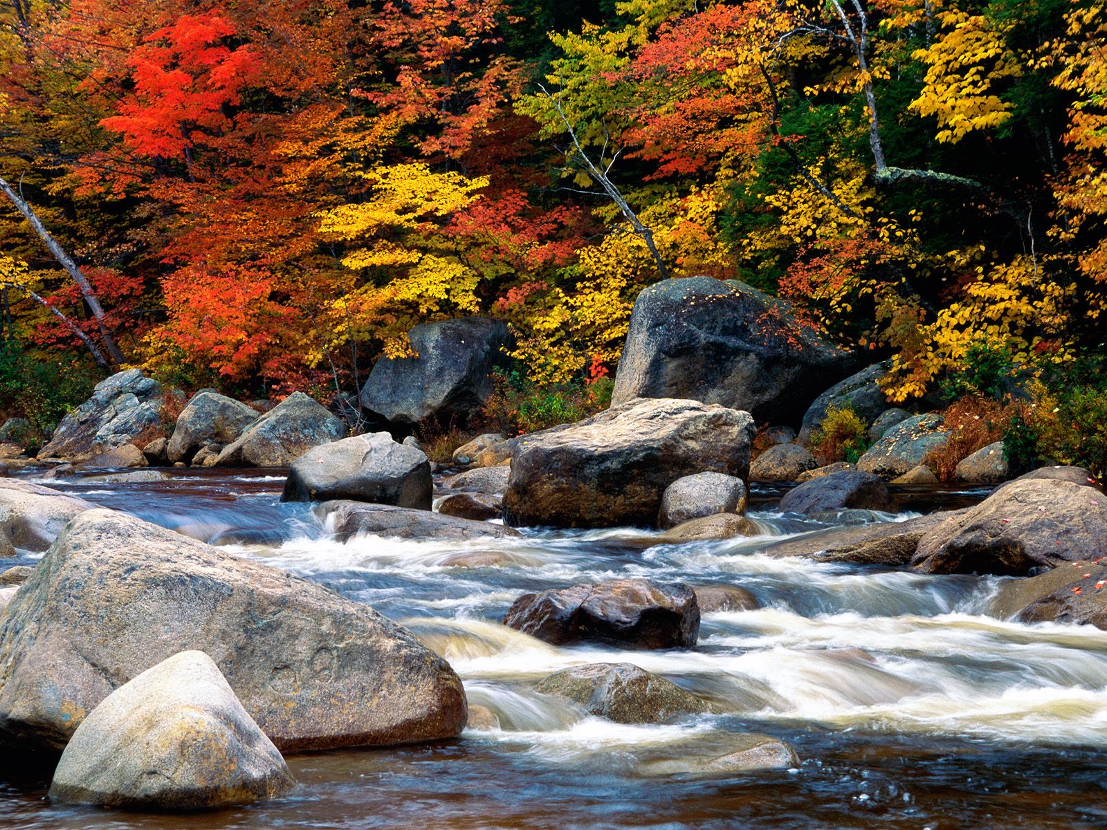Nature Pic  2344