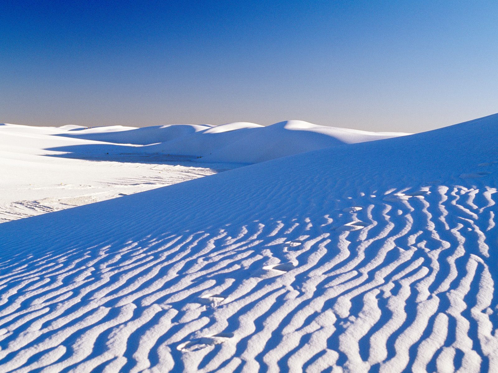 Nature Pic  2347