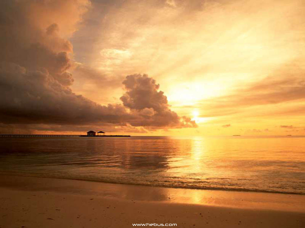 Nature Pic  2362