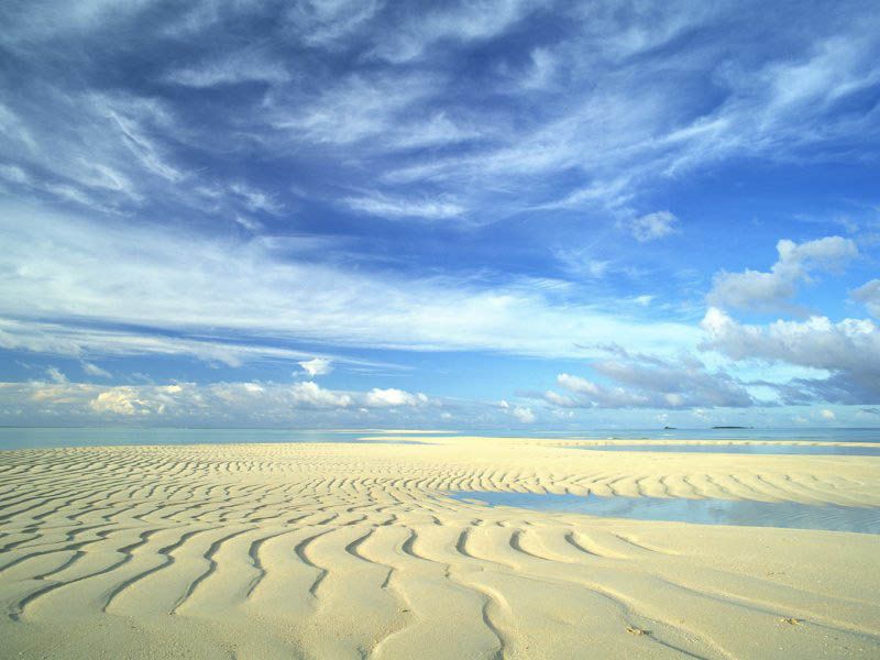 Nature Pic  2365