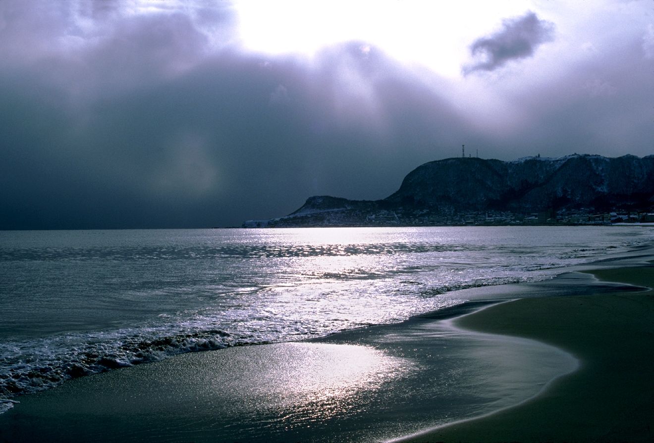 Nature Pic  2366