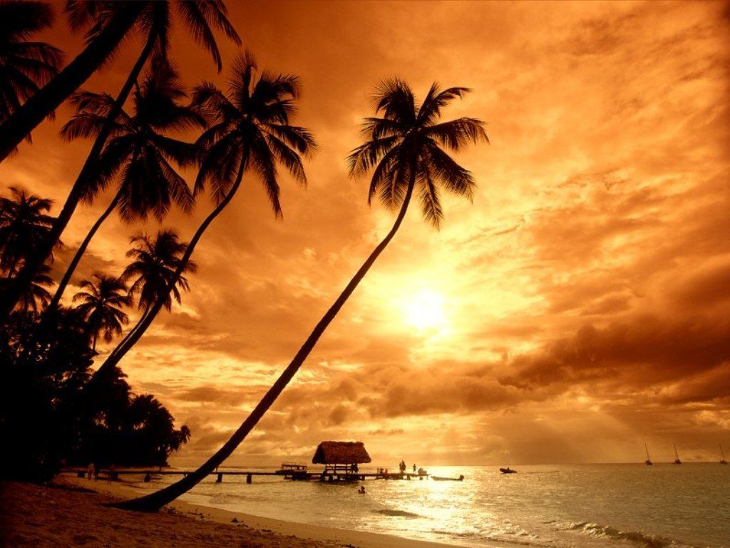 Nature Pic  2368