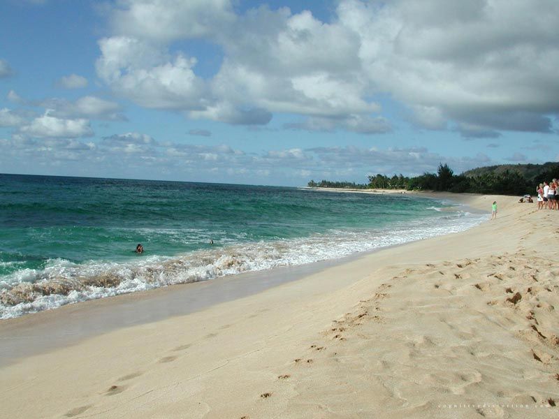 Nature Pic  2369