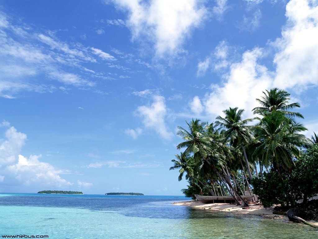 Nature Pic  2370