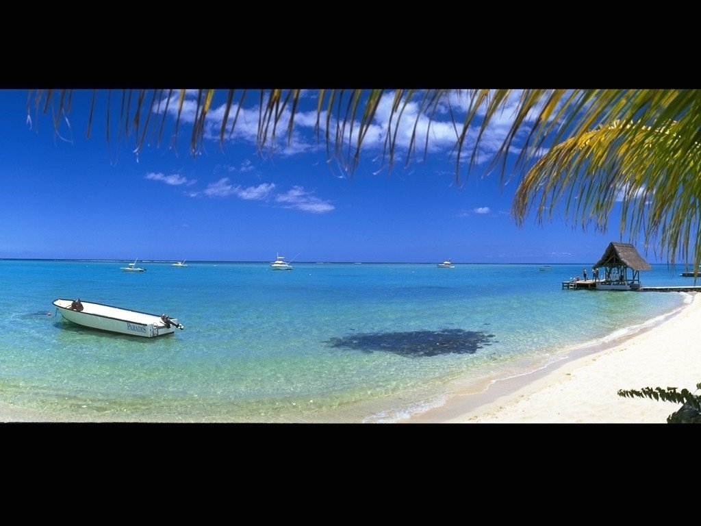 Nature Pic  2371