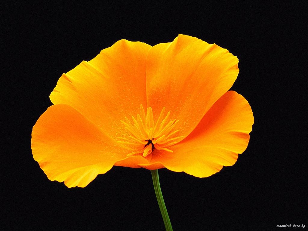 Nature Pic  2373