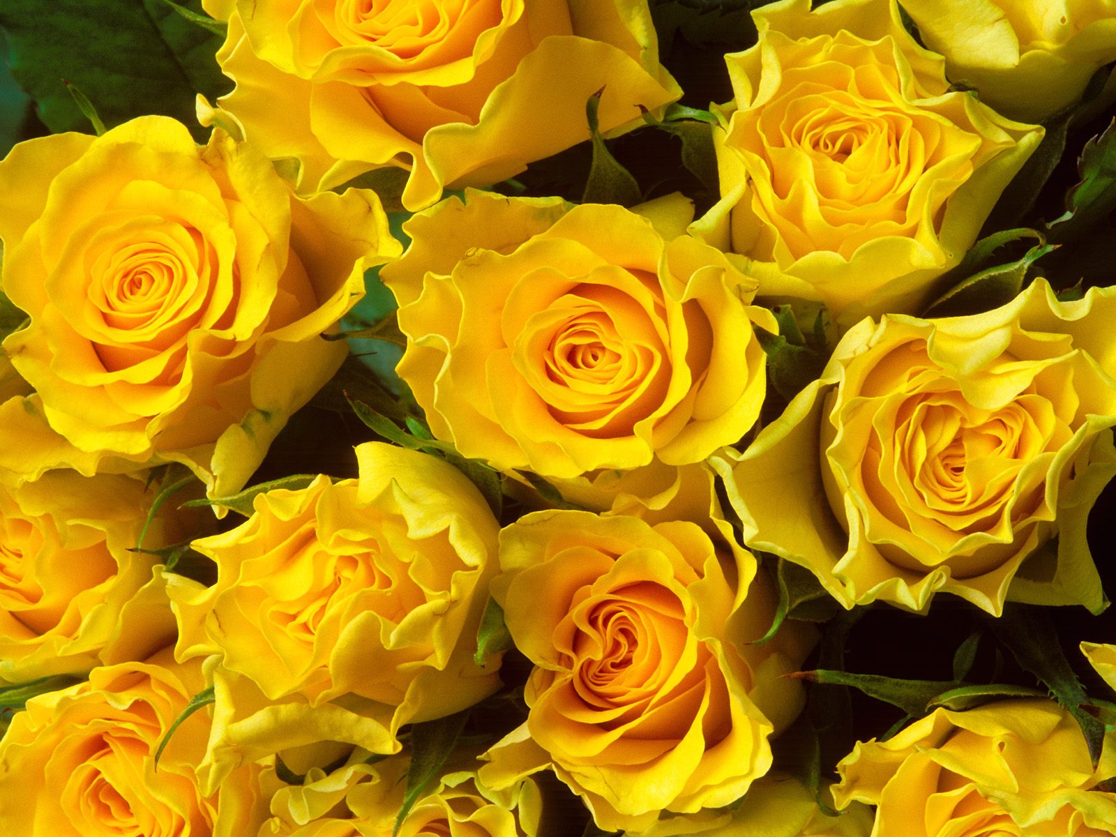 Nature Pic  2376
