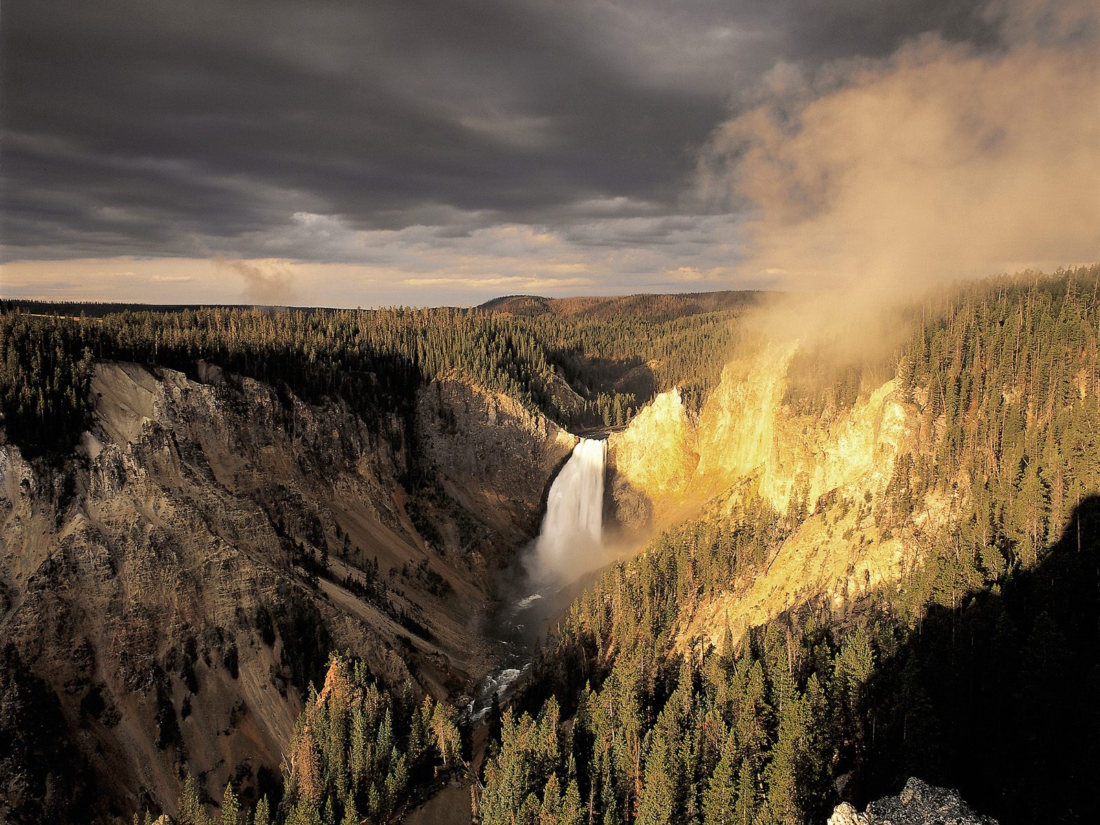Nature Pic  2377