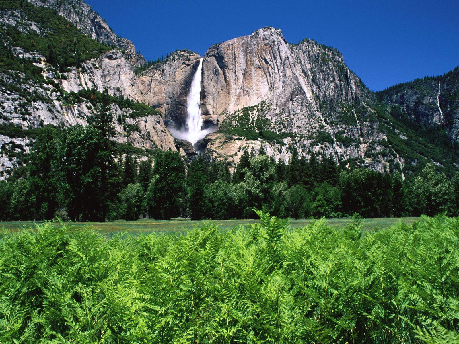Nature Pic  2379