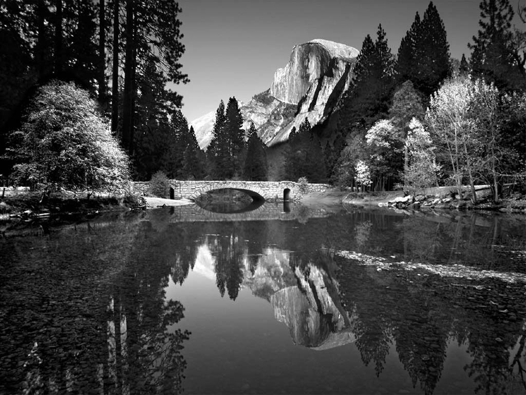 Nature Pic  2382