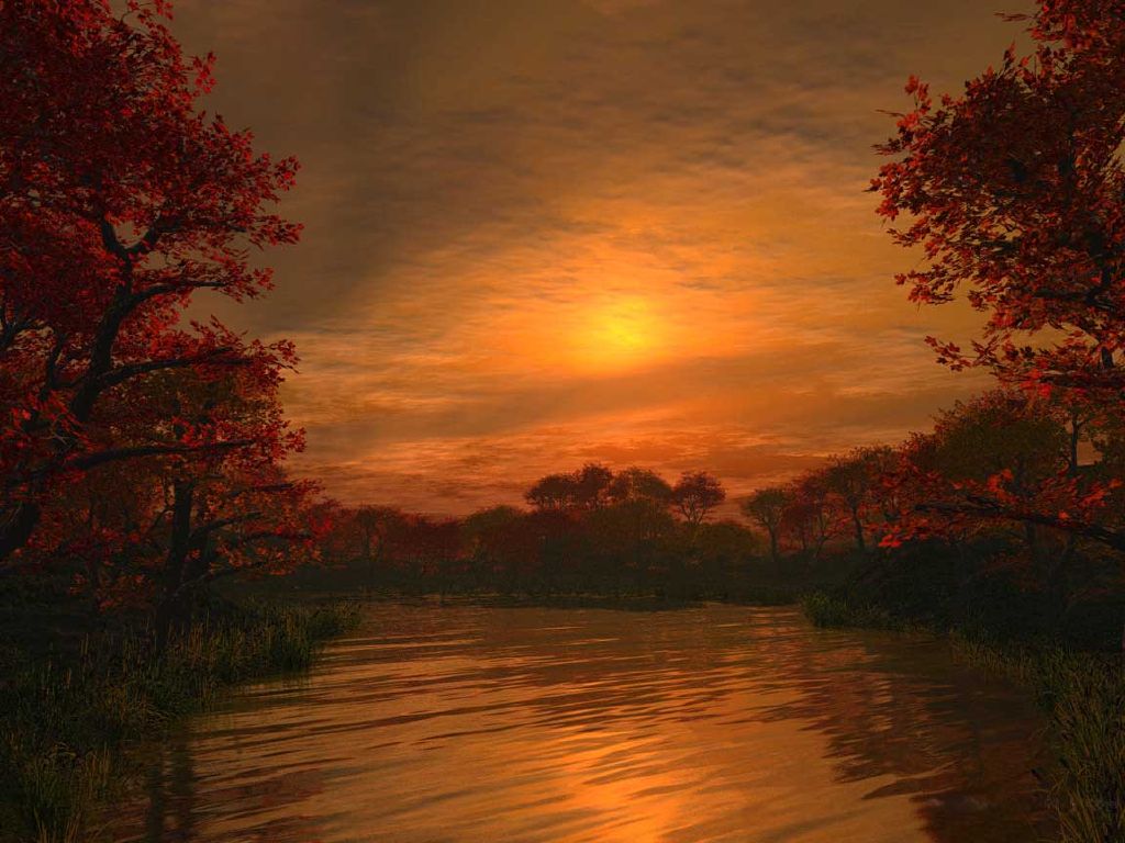 Nature Pic  2384