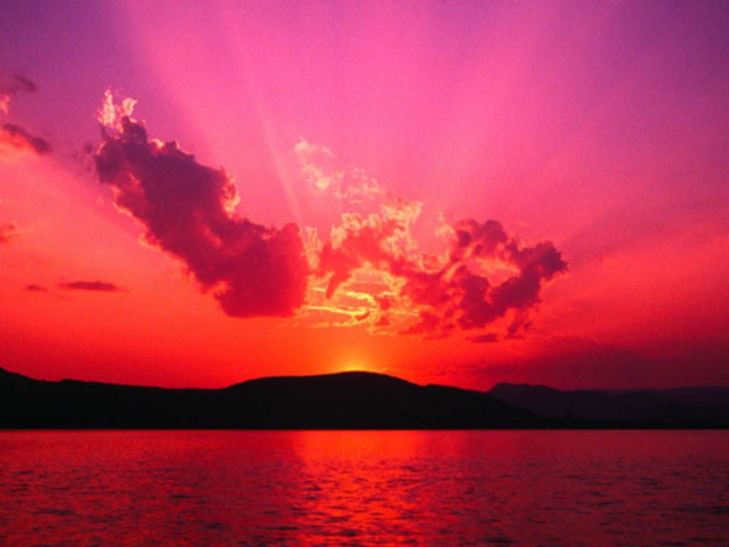 Nature Pic  2385