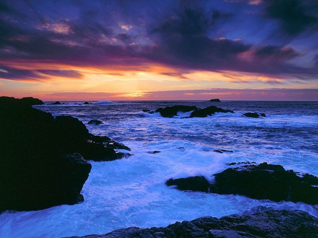 Nature Pic  2386