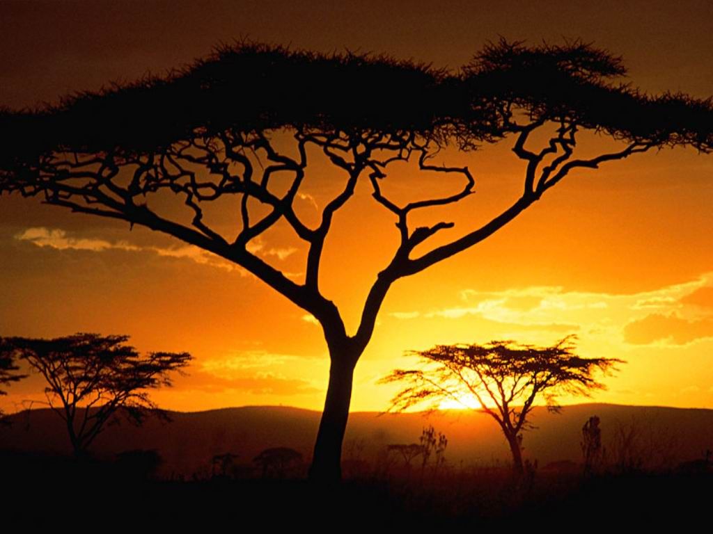 Nature Pic  2387
