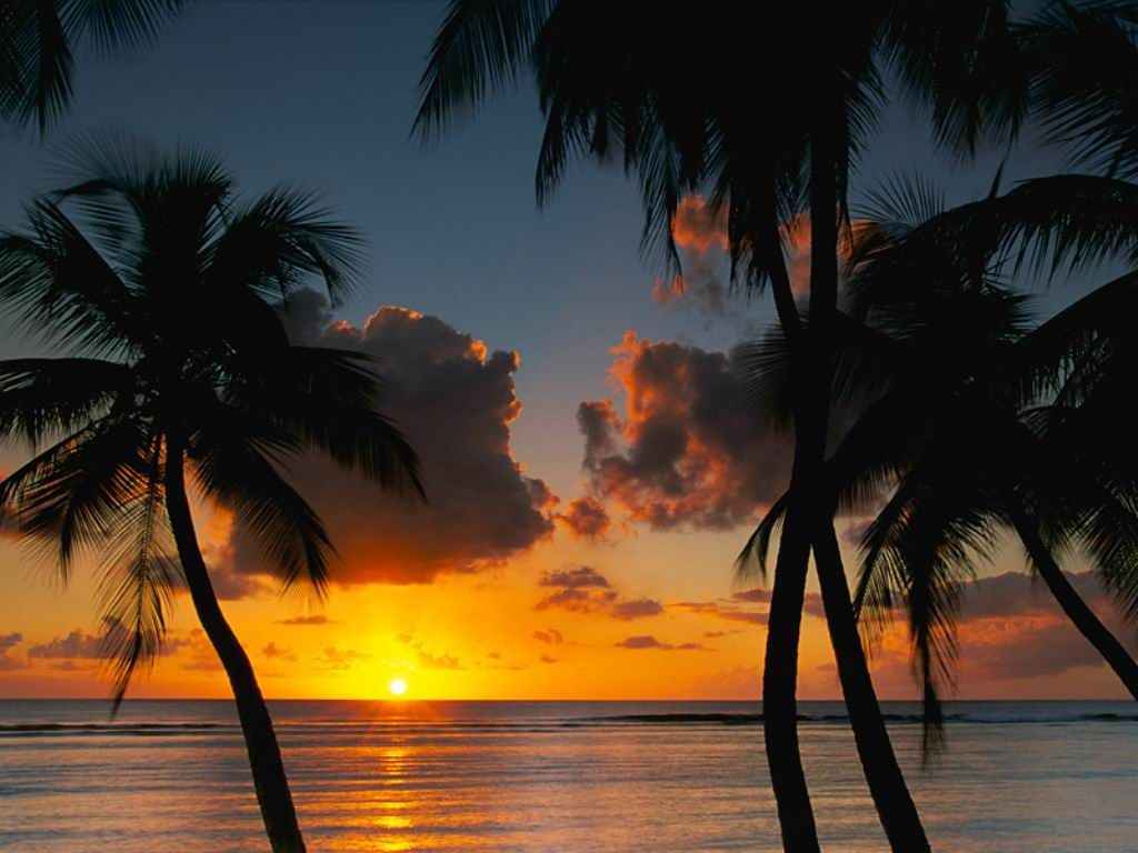 Nature Pic  2389