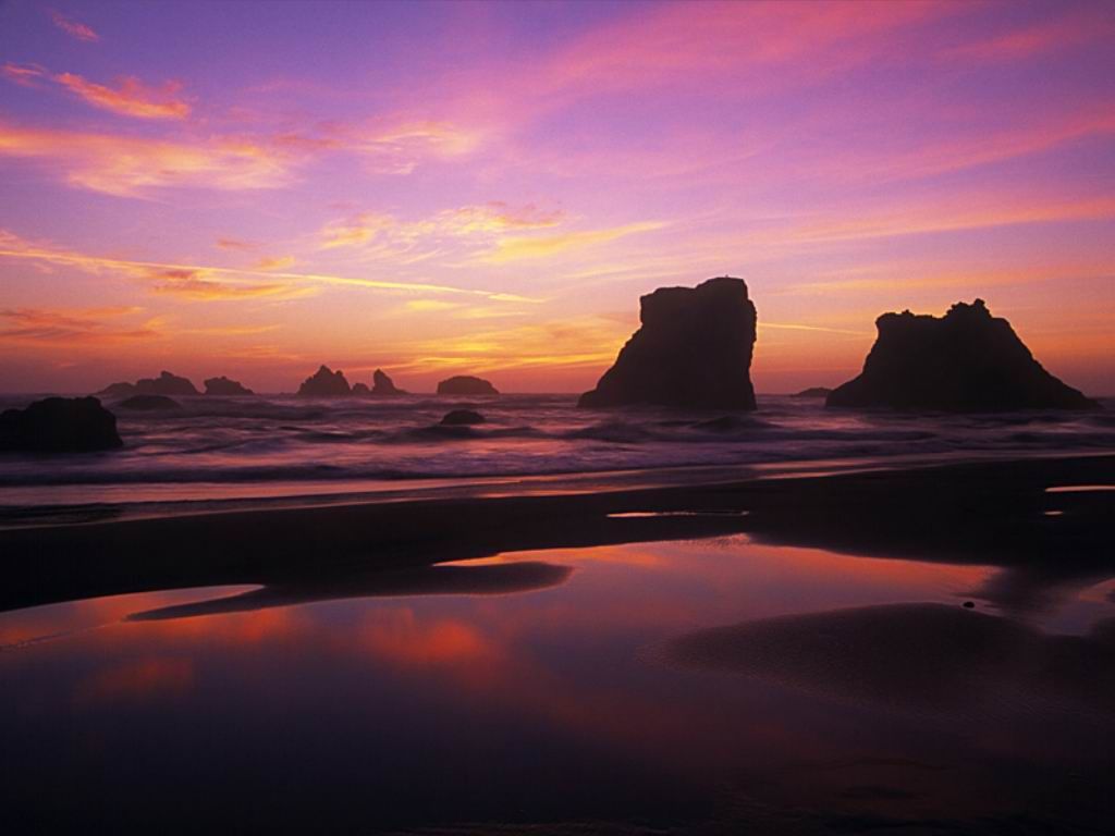 Nature Pic  2390