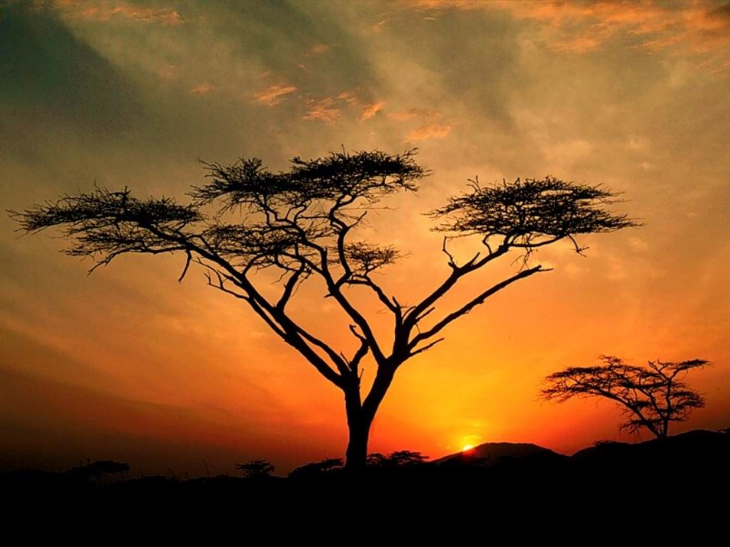 Nature Pic  2393