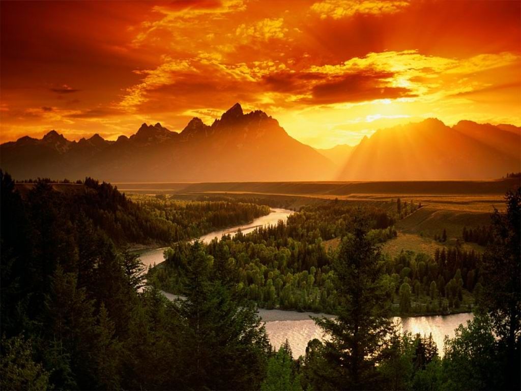 Nature Pic  2394