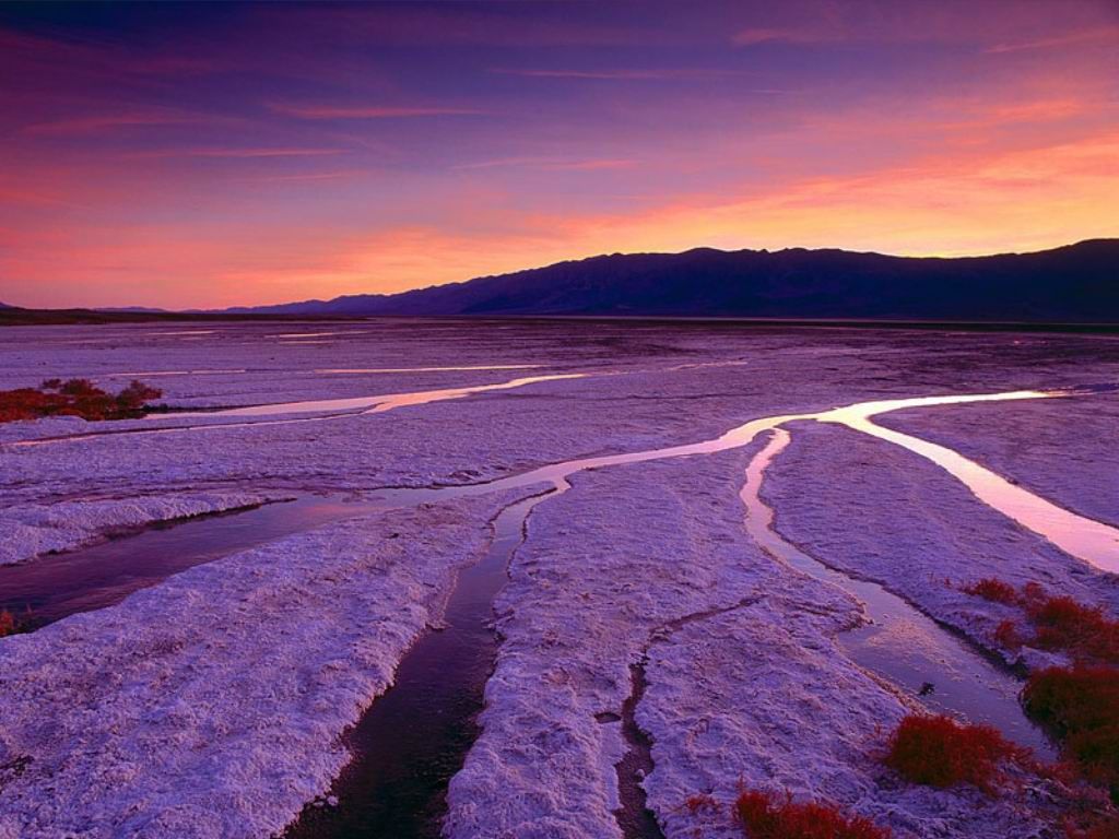 Nature Pic  2395