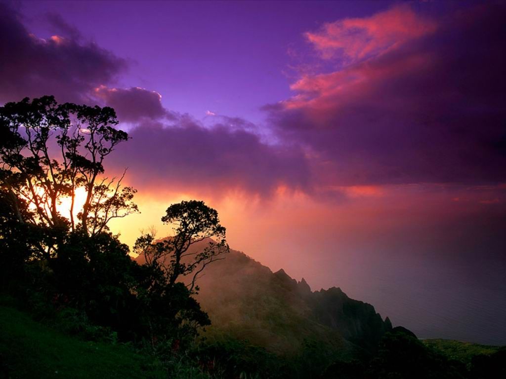 Nature Pic  2396