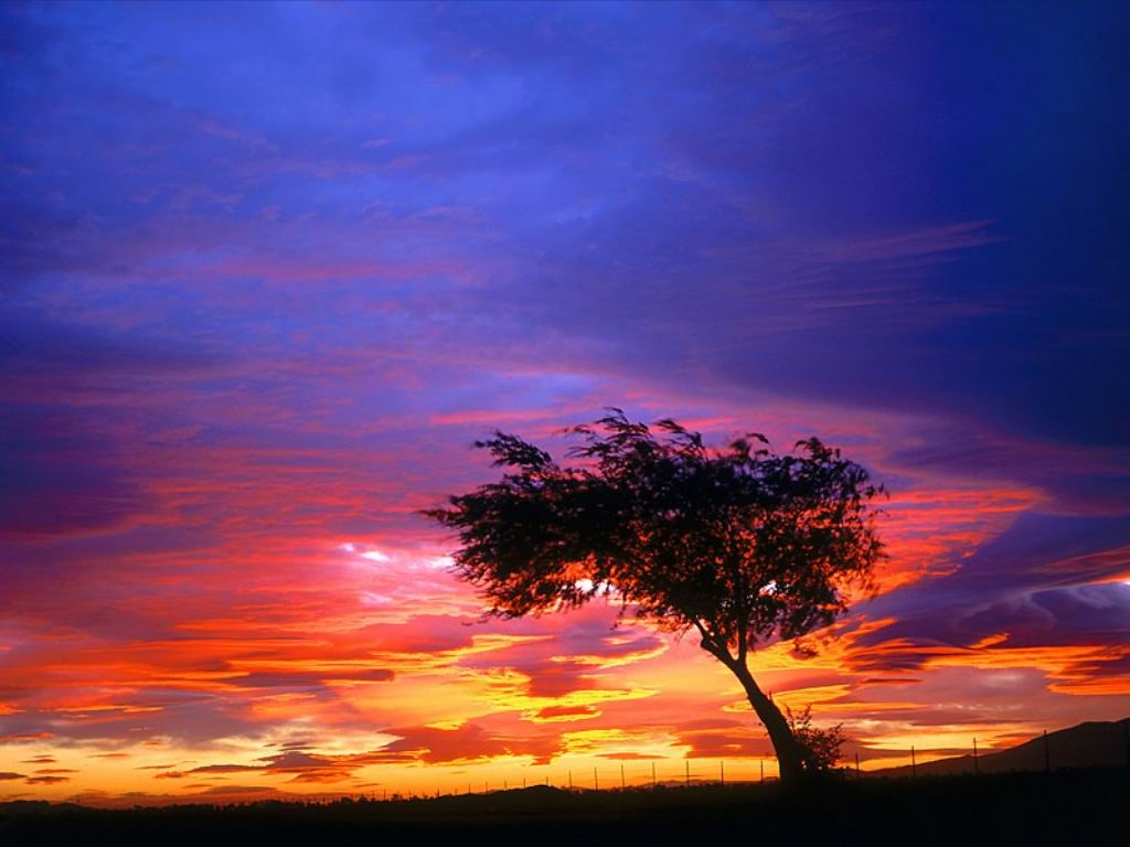 Nature Pic  2397