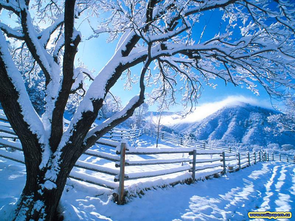 Nature Pic  2401