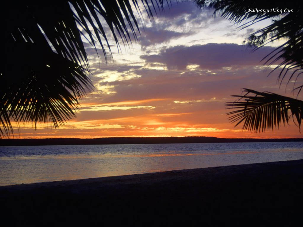 Nature Pic  25