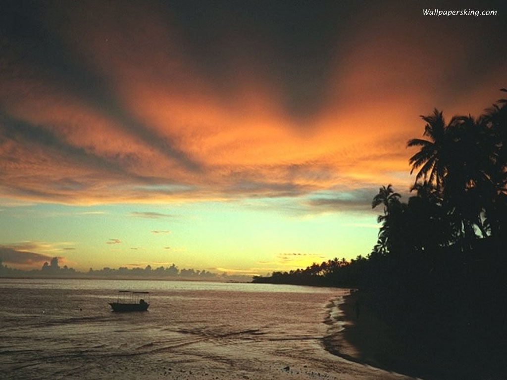 Nature Pic  26