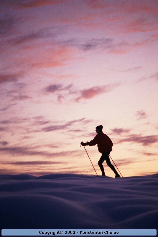 Nature Pic  284