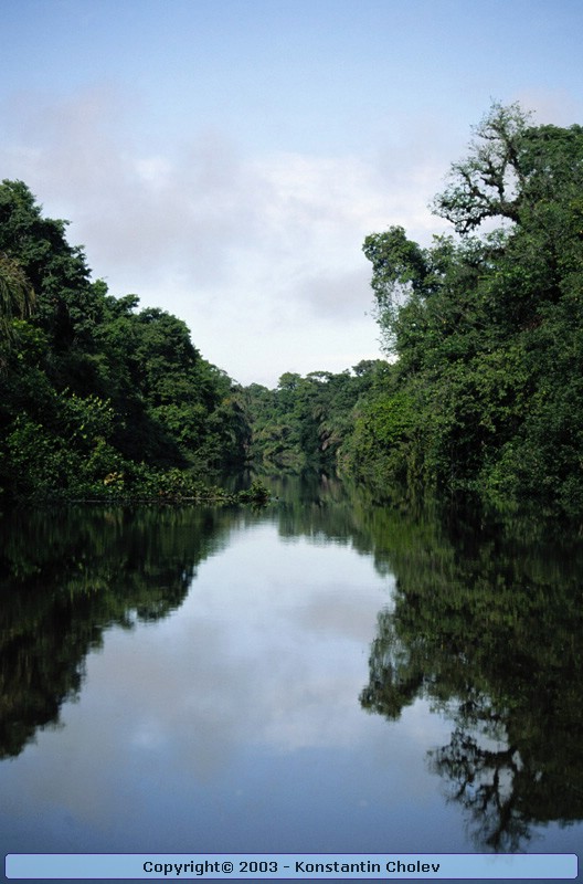 Nature Pic  29