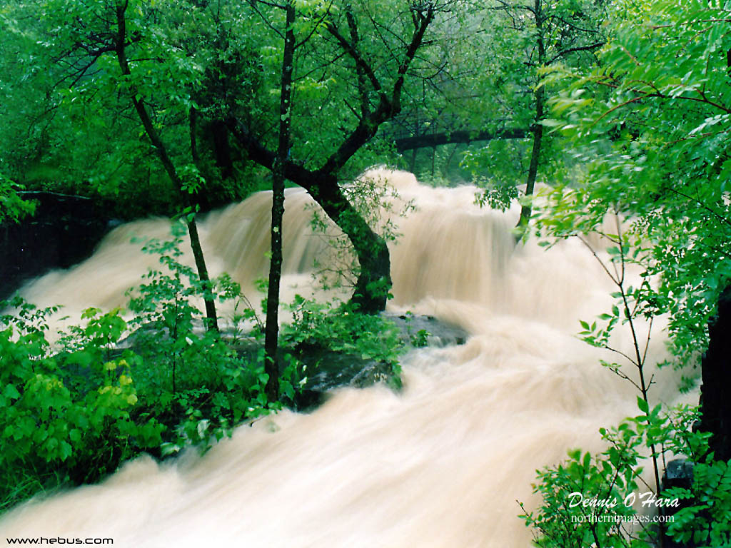 Nature Pic  3